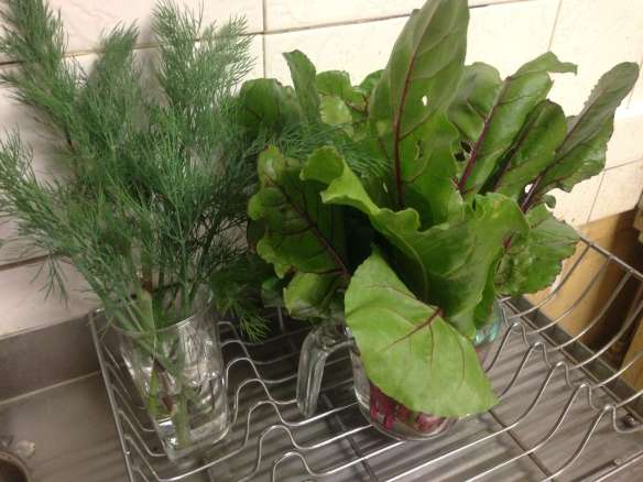 visit_to_Smeaton_30-Nov-13- 023-2000