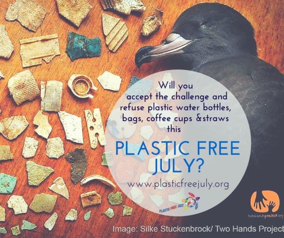 plastic-free